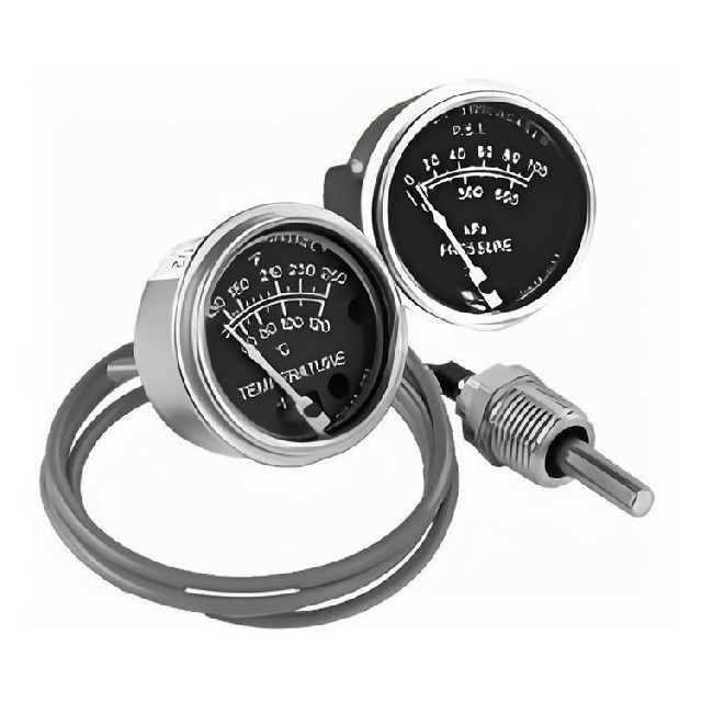 美國murphy 壓力表 20BTG