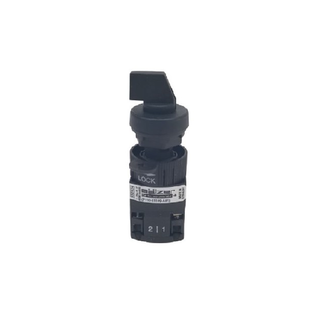 Salzer 旋转凸轮开关 P110-61109-218M1